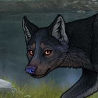 Blueschist Headshot