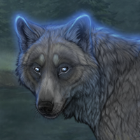 Lupos Headshot