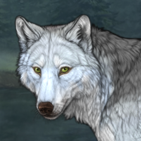 Wolf Headshot