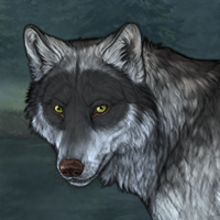 Wolf Headshot