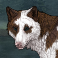 Durza (Torn Piebald) Headshot