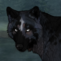 Blueschist Headshot