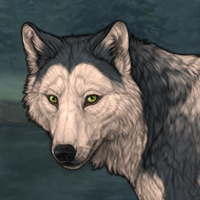 Wolf Headshot