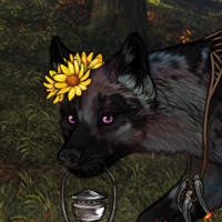 Harshwinds* Headshot