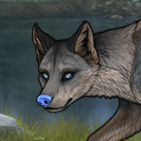 Selkie Headshot