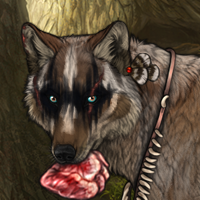 Wolf Headshot