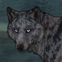 Blueschist Headshot