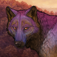 Wolf Headshot
