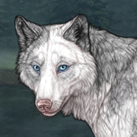 Uiara - Piebald Headshot