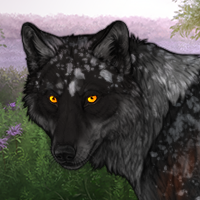 Black/Opal Headshot