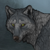 Wolf Headshot