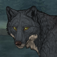 Wolf Headshot