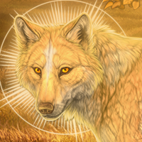 Wolf Headshot