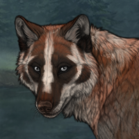 Badger Headshot