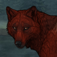 Redfur Headshot