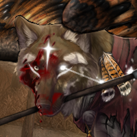 Wolf Headshot