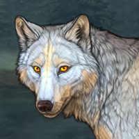 Wolf Headshot