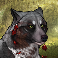 Wolf Headshot
