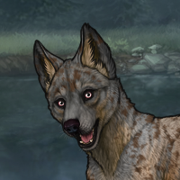 ((Pup))Sell Headshot