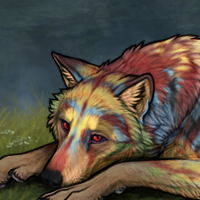 Wolf Headshot