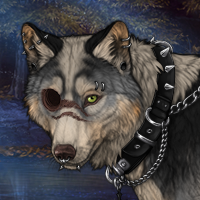 Wolf Headshot