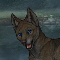 Skarn Puppy Headshot