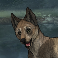 New Puppy Headshot
