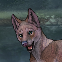 Novus Breeder Headshot