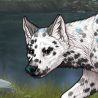 Dalmatian Headshot