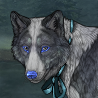 Ultramarine Collie Bean Headshot