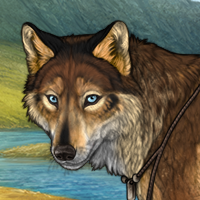 Wolf Headshot