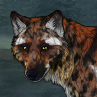 🏠︎ G3 Fox - Nuit? Headshot