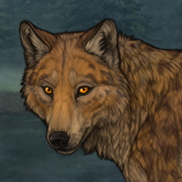 Hyena Headshot