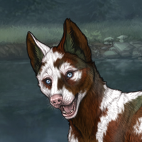 Piebald Puppy - 5M Headshot