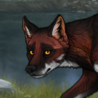 FoxFang Headshot