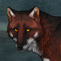 FoxFang Headshot