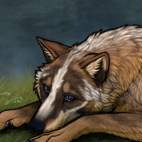 Badger w/ Tranquil eyes Headshot