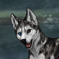 G3 husky look alike Headshot