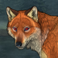 Foxfire Headshot