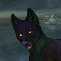 Kelpie Headshot