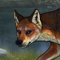 fox rnc Headshot