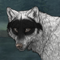 Wolf Headshot