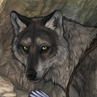 Carpinus Headshot