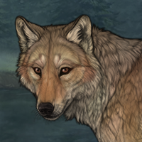 Coyotefoot Headshot