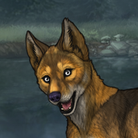 10th Gen. - Amberpup Headshot