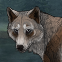 Feral Woods Headshot