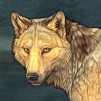 Wolf Headshot