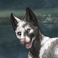 Biotite piebald Headshot