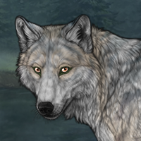 Spotted Wolf Headshot