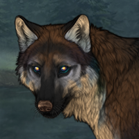 Ursa Cibus Headshot